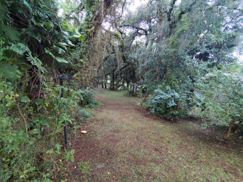 imóvel com 221m² - Santa Felicidade - Curitiba