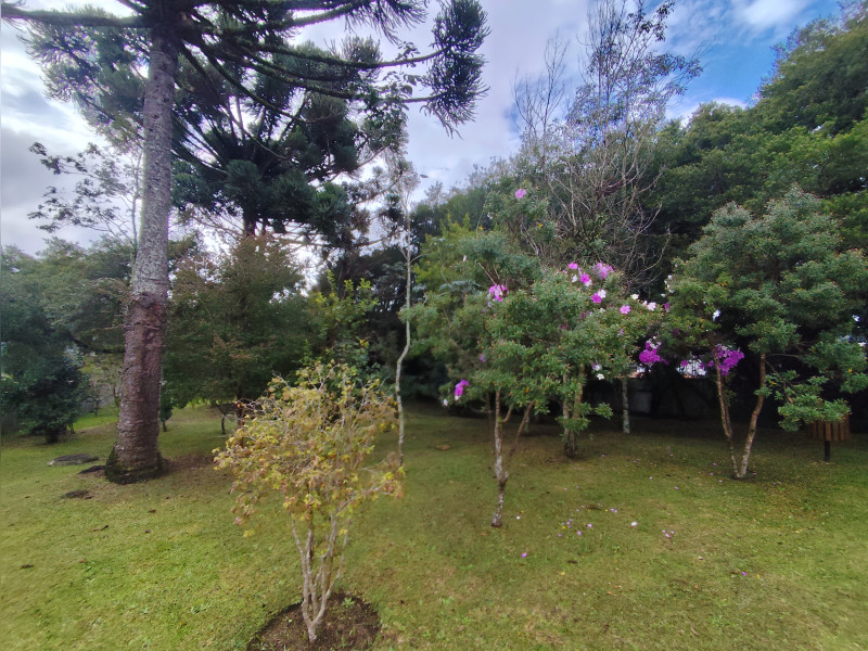 imóvel com 221m² - Santa Felicidade - Curitiba
