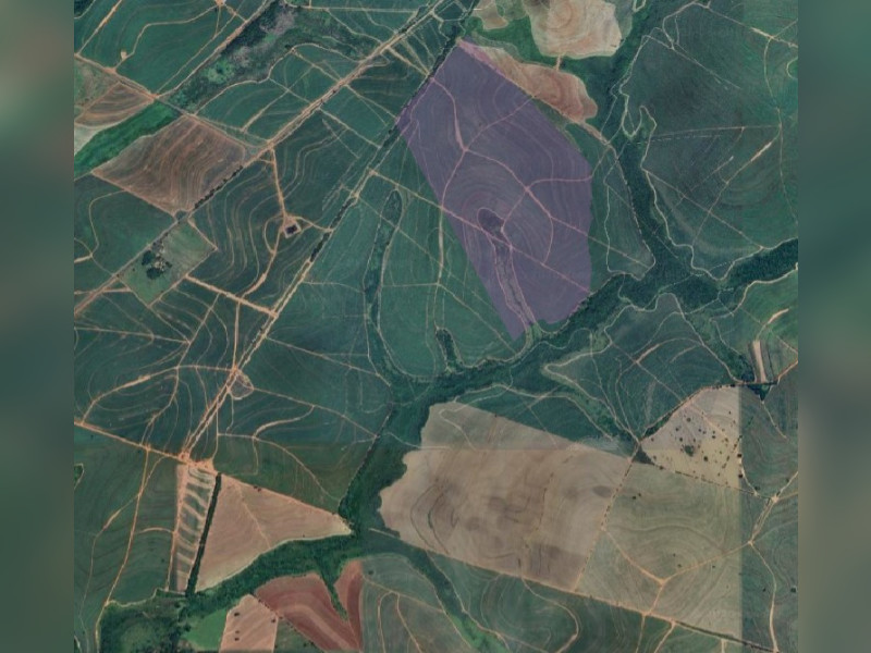 imóvel com 98000000m² - Área Rural de Três Alianças - Mirandópolis