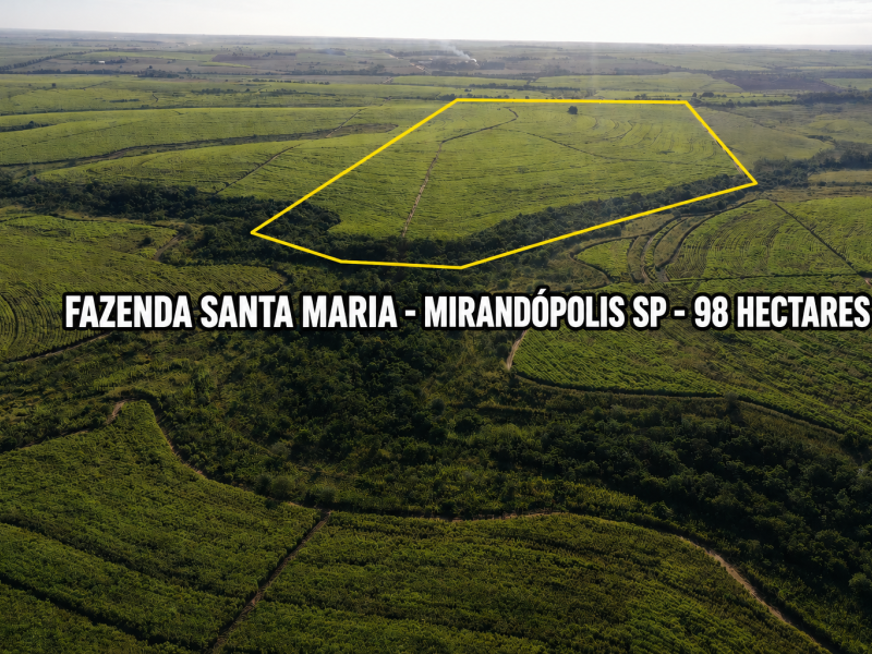 imóvel com 98000000m² - Área Rural de Três Alianças - Mirandópolis