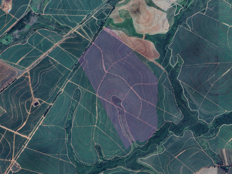 imóvel com 98000000m² - Área Rural de Três Alianças - Mirandópolis