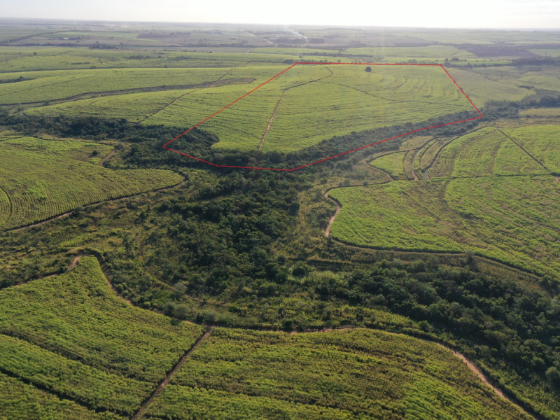 imóvel com 98000000m² - Área Rural de Três Alianças - Mirandópolis