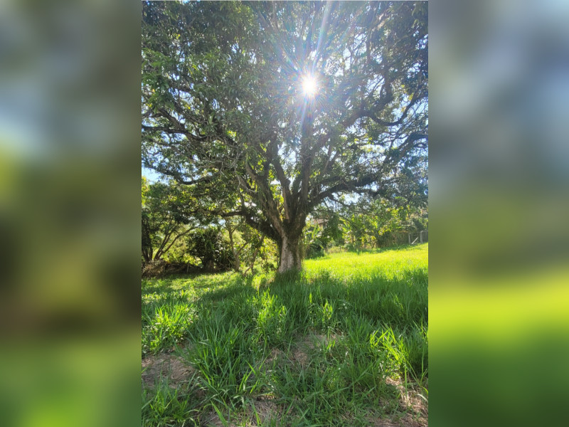 imóvel com 2500m² - Chácaras Catagua - Taubaté