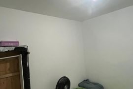 408184.jpg