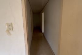 img-7924.jpeg