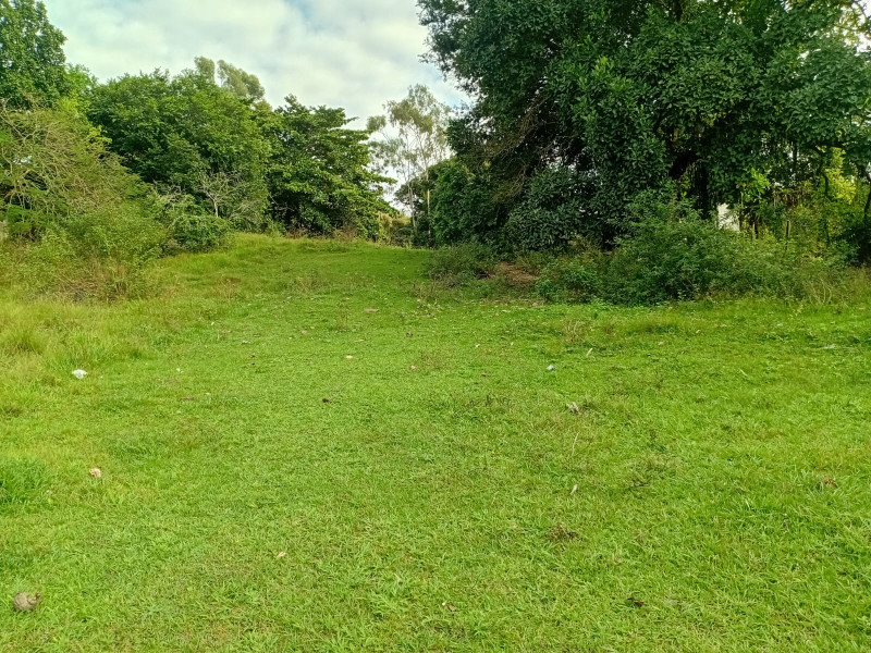 imóvel com 5417m² - Agro Brasil (Sambaetiba) - Itaboraí