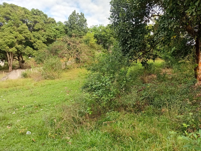 imóvel com 5417m² - Agro Brasil (Sambaetiba) - Itaboraí