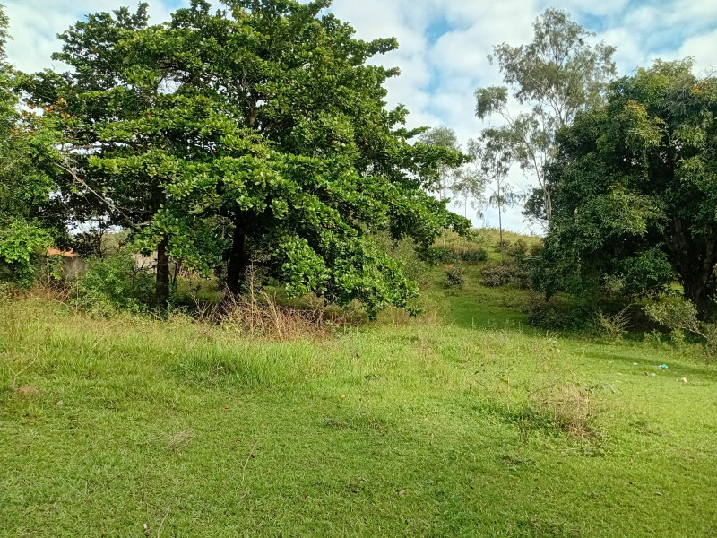 imóvel com 5417m² - Agro Brasil (Sambaetiba) - Itaboraí