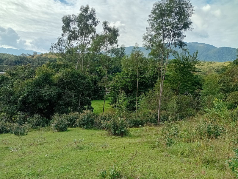 imóvel com 5417m² - Agro Brasil (Sambaetiba) - Itaboraí