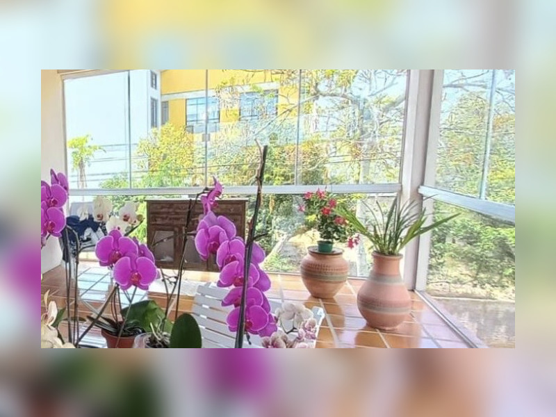 imóvel com 800m² - Tapera da Base - Florianópolis