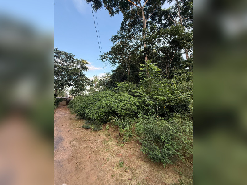 imóvel com 9000m² - Mutirão - Altamira