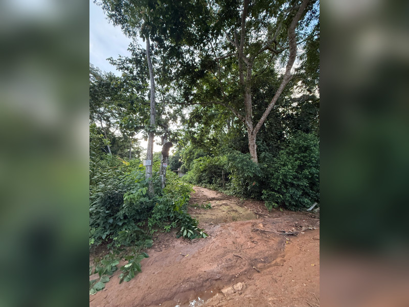 imóvel com 9000m² - Mutirão - Altamira
