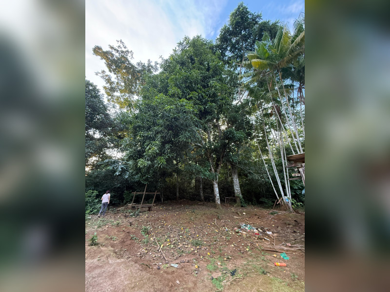 imóvel com 9000m² - Mutirão - Altamira