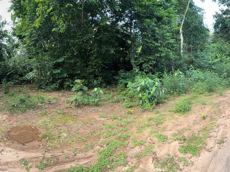 imóvel com 9000m² - Mutirão - Altamira