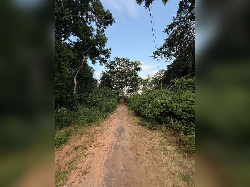 imóvel com 9000m² - Mutirão - Altamira