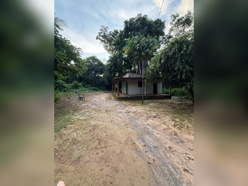 imóvel com 9000m² - Mutirão - Altamira