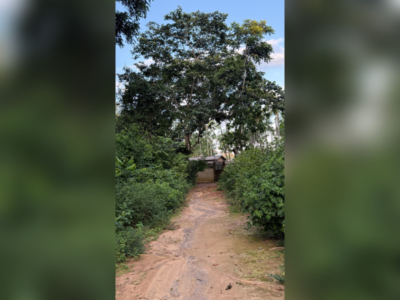imóvel com 9000m² - Mutirão - Altamira