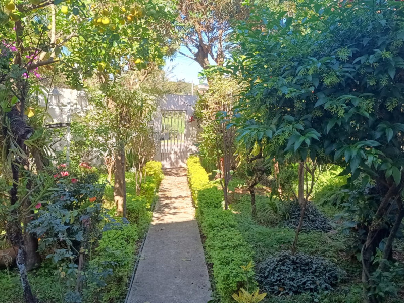 imóvel com 138m² - Jardim Carlos Lourenco - Campinas