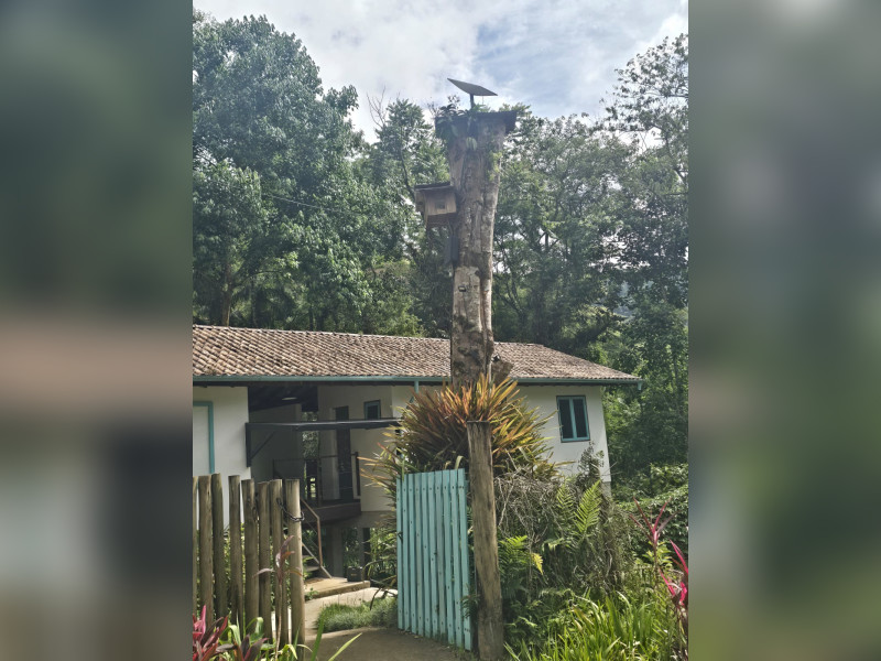 imóvel com 350m² - Centro - Paraty