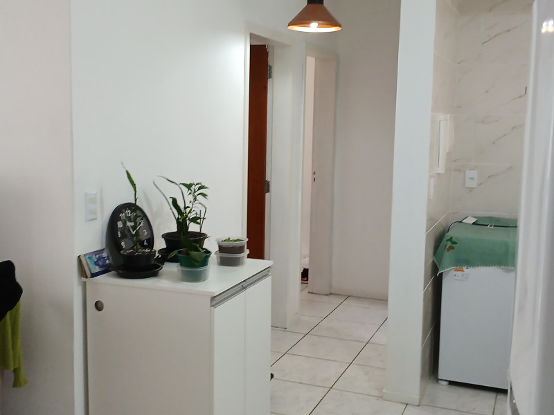 imóvel com 50m² - Centro - Palhoça