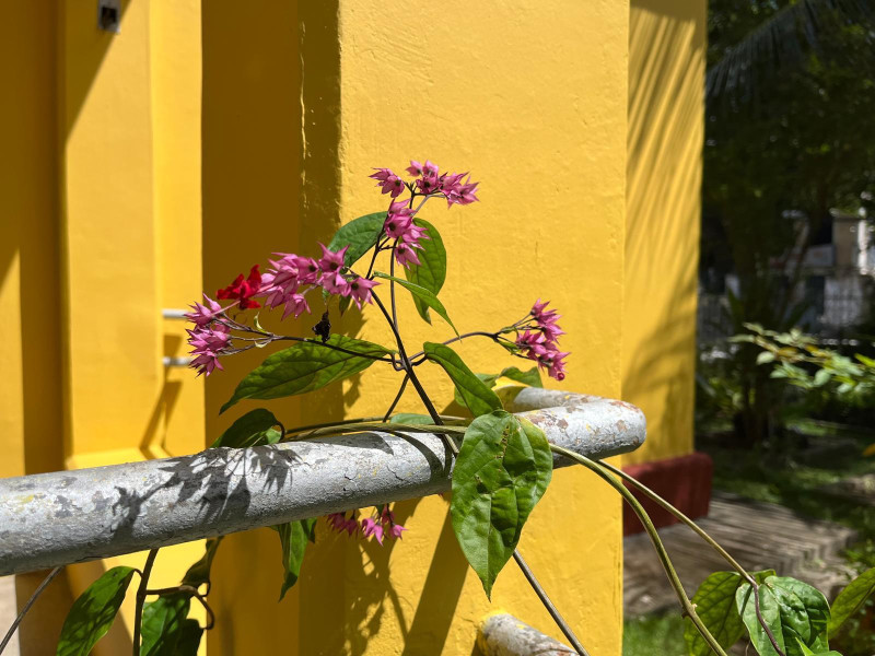 imóvel com 18m² - Boa Vista - Recife