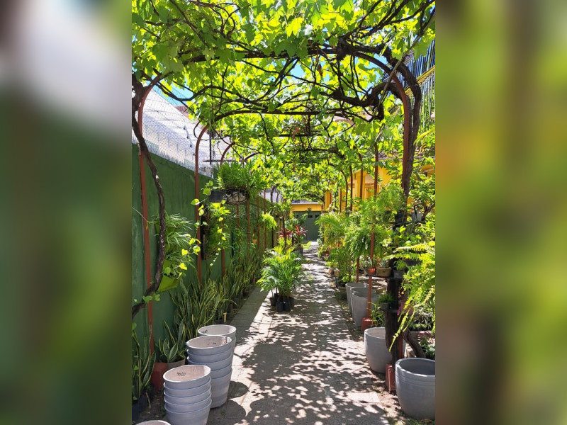imóvel com 18m² - Boa Vista - Recife