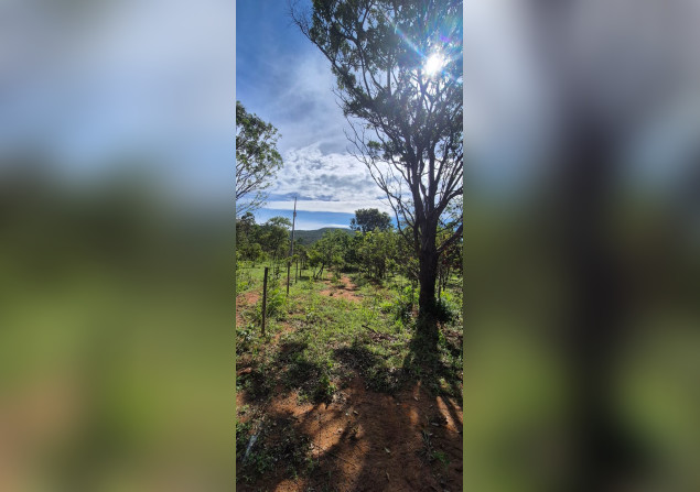 imóvel com 1000m²