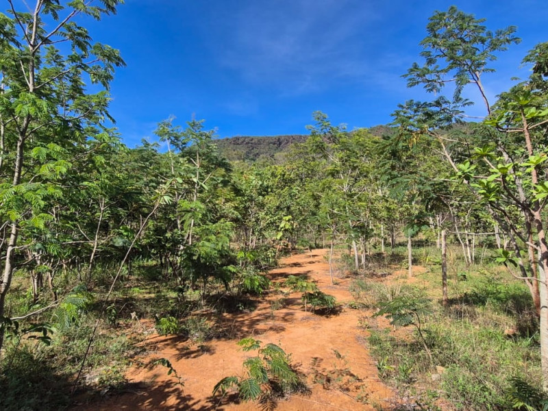 imóvel com 1000m² - Centro - Pirenopolis