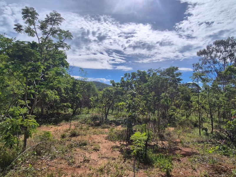 imóvel com 1000m² - Centro - Pirenopolis