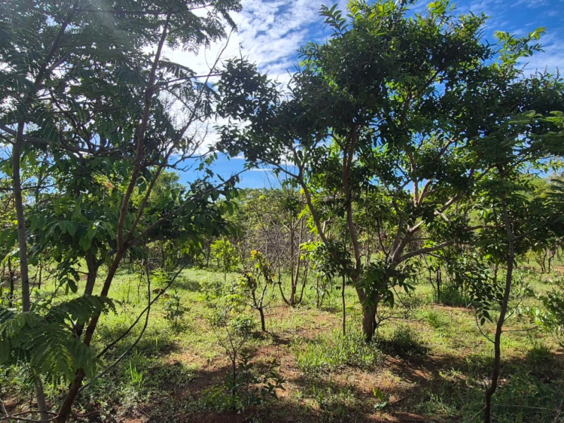 imóvel com 1000m² - Centro - Pirenopolis