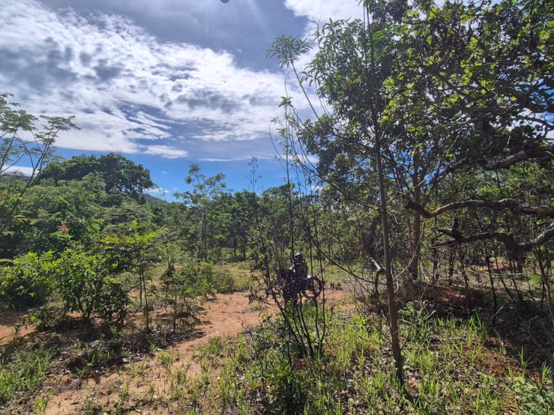 imóvel com 1000m² - Centro - Pirenopolis
