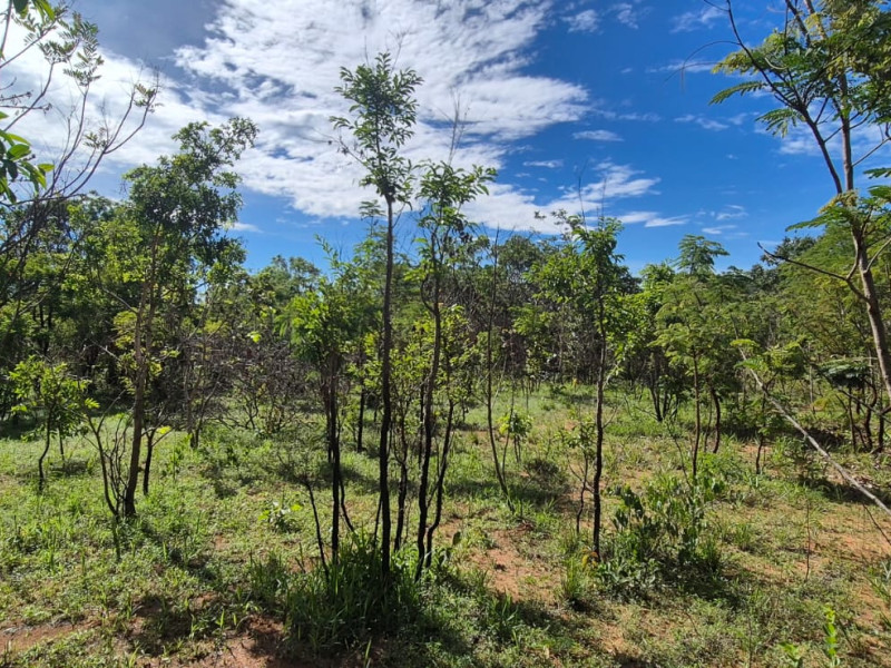 imóvel com 1000m² - Centro - Pirenopolis
