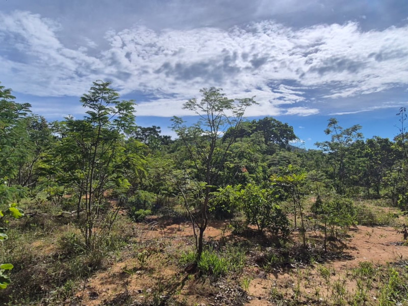 imóvel com 1000m² - Centro - Pirenopolis
