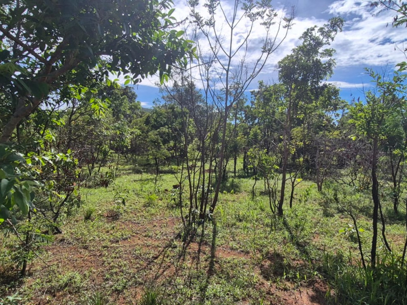 imóvel com 1000m² - Centro - Pirenopolis