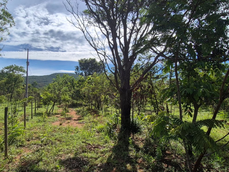 imóvel com 1000m² - Centro - Pirenopolis
