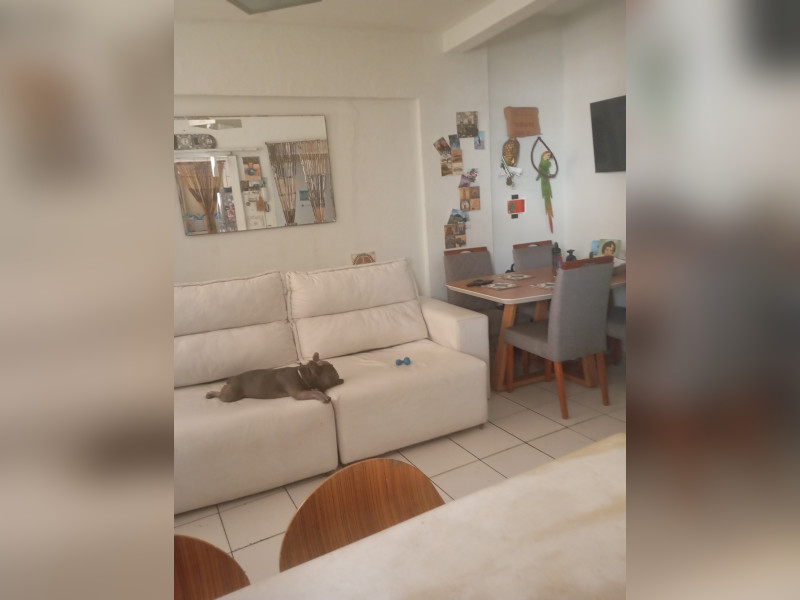 imóvel com 83m² - Itararé - São Vicente