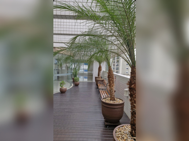 imóvel com 80m² - Gonzaga - Santos