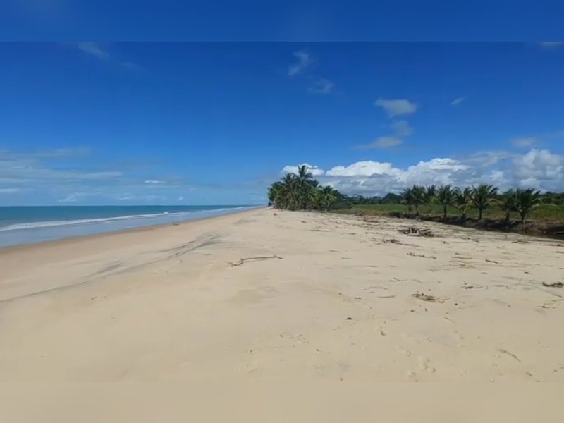 imóvel com 22000m² - Centro - Alcobaca