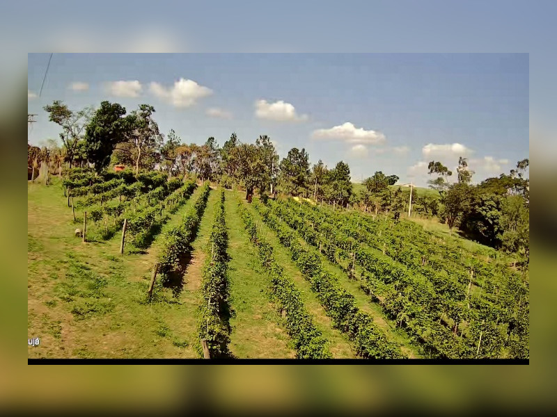 imóvel com 21000m² - Canguera - Capela do Alto