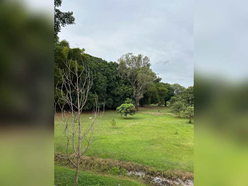 imóvel com 225m² - Centro - Brasília