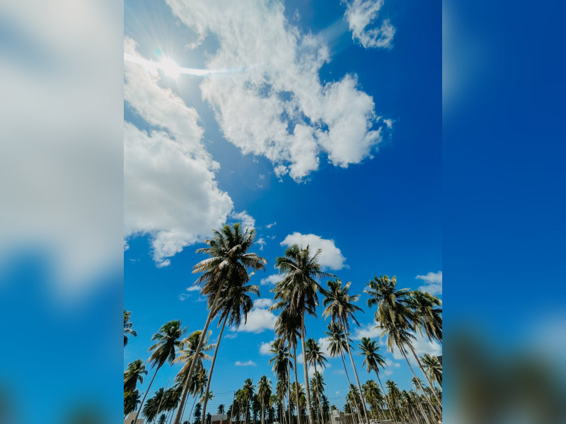 imóvel com 240m² - Cajupiranga - Parnamirim