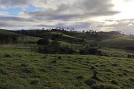 img-0147.jpeg