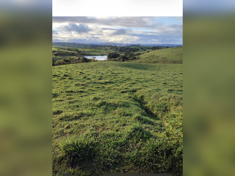 imóvel com 900m² - Centro - Canarana