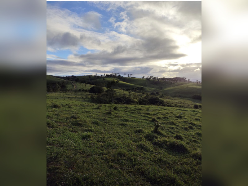 imóvel com 900m² - Centro - Canarana