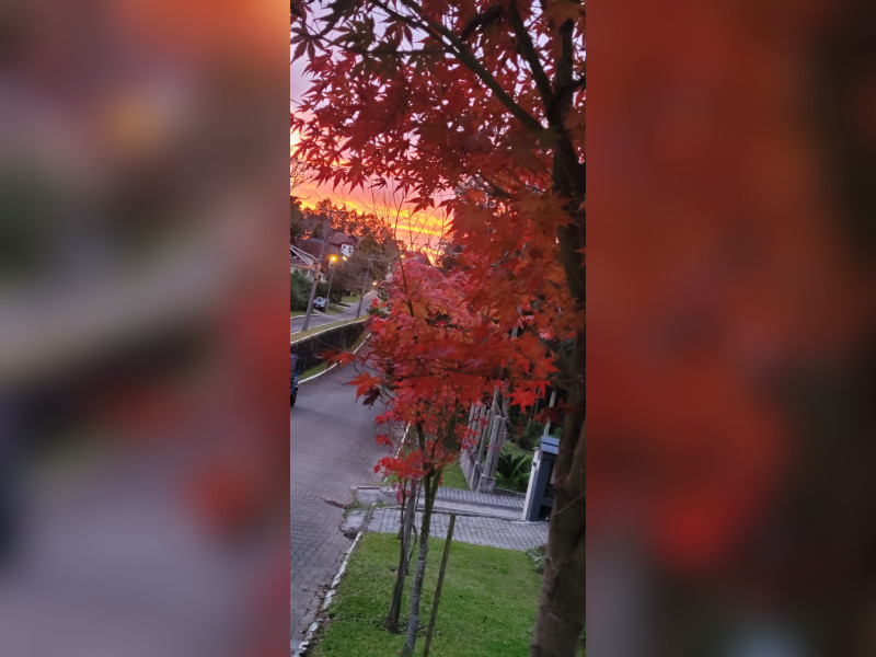 imóvel com 62m² - Mato Queimado - Gramado