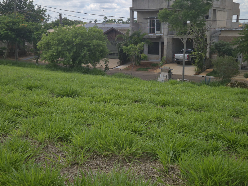 imóvel com 235m² - Euroville - Cajobi