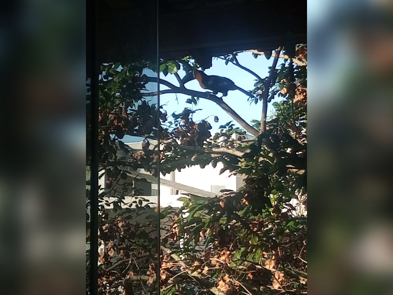 imóvel com 150m² - Campo Grande - Rio de Janeiro