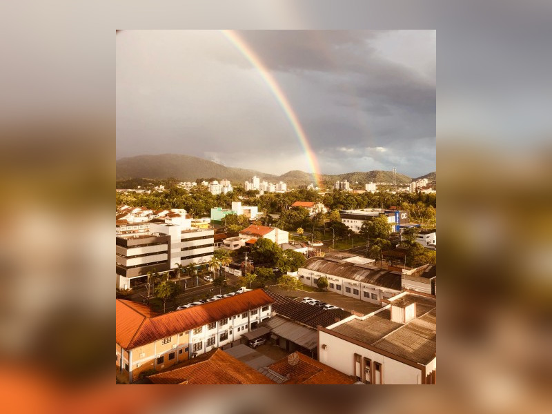 imóvel com 37776m² - Centro - Timbo