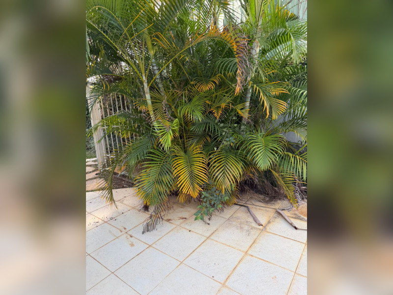 imóvel com 767m² - Setor de Habitações Individuais Sul - Brasília