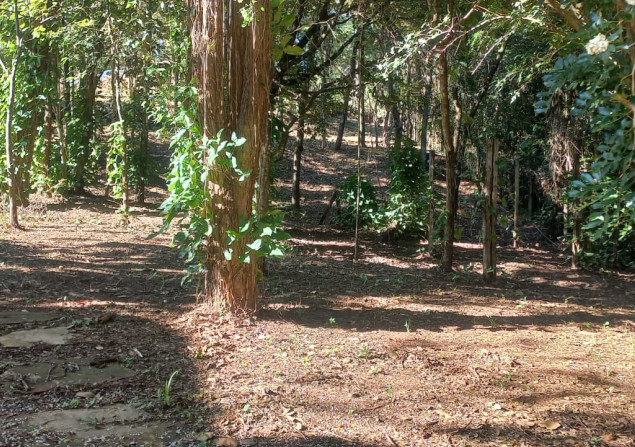 imóvel com 1000m²